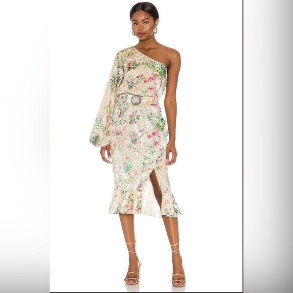 NWT Hemant & Nandita Zaina Midi Dress. Size L - Picture 1 of 14